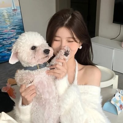 独家童话封面