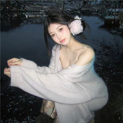 圣女小德兰封面